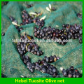 HDPE Agriculture Fruit/Olive Net/Harvest Nets/Collection/Collecting Net